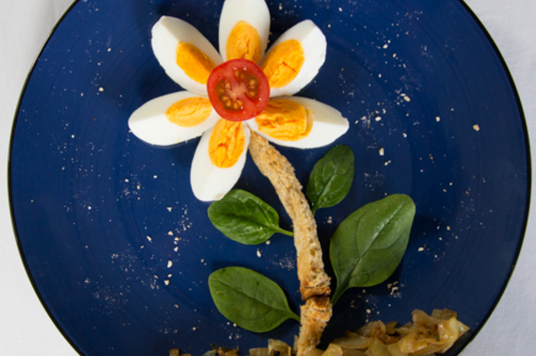 theartofnutrition.com