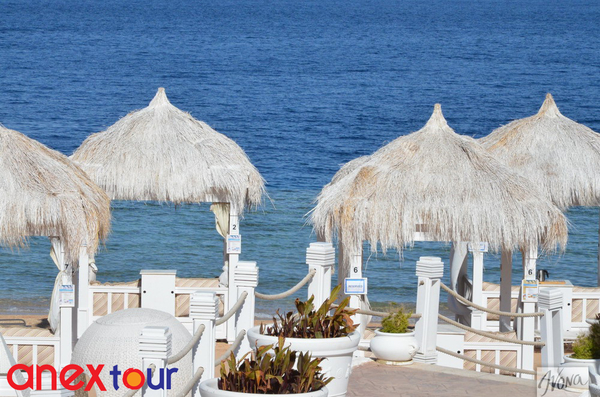 Удивительный Египет: подводный заповедник и опасный остров Тиран