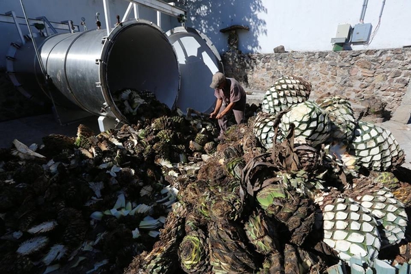 Дмитрий Комаров: В Мексике все создано для людей