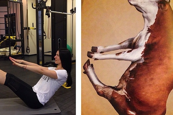 instagram.com/mashaefrosinina