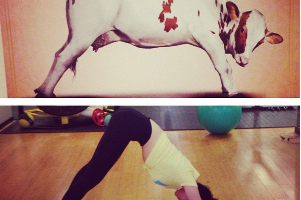 instagram.com/mashaefrosinina