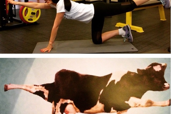 instagram.com/mashaefrosinina