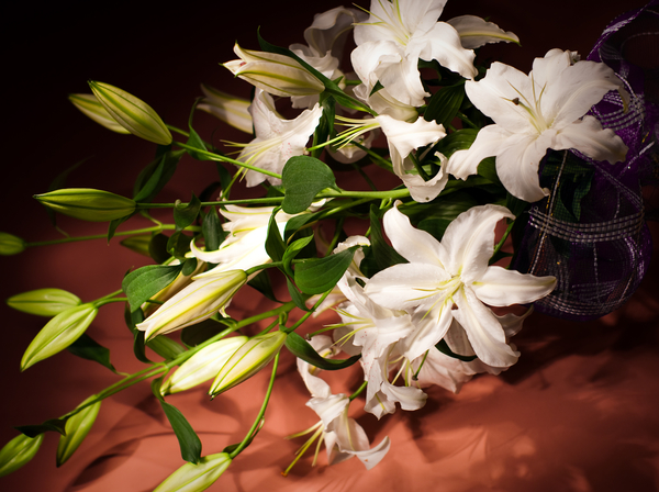 Специально к 8 марта: Как подобрать цветы по характеру