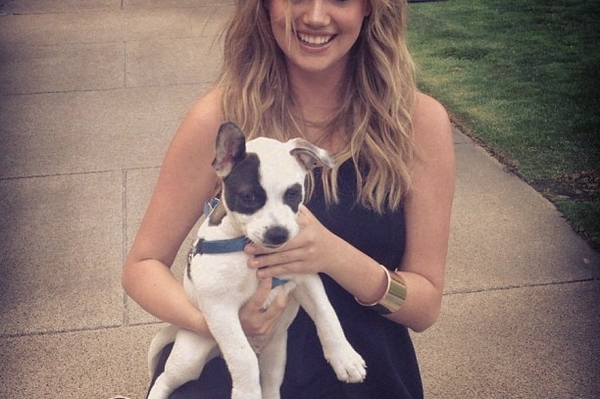 instagram.com/kateupton