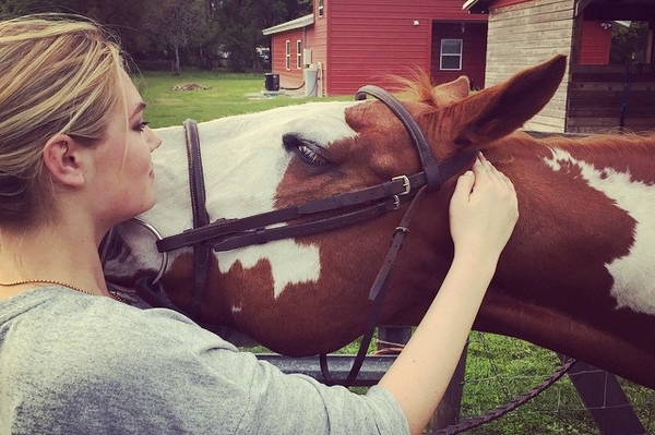 instagram.com/kateupton