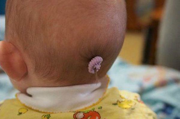 facebook.com/honeychildren