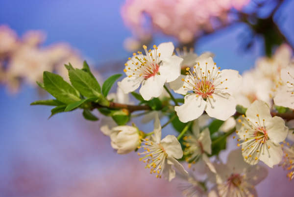 Когда весеннее равноденствие в 2015 году