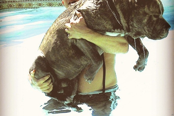 instagram.com/vindiesel