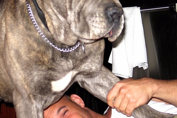 instagram.com/vindiesel