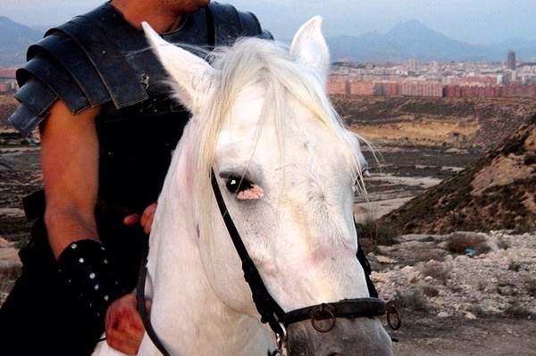 instagram.com/vindiesel