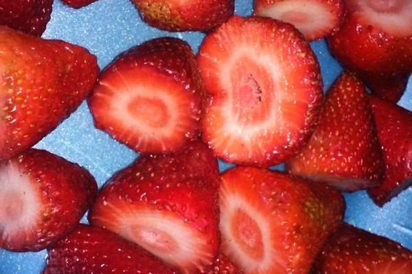 instagram.com/toya_thevirgo