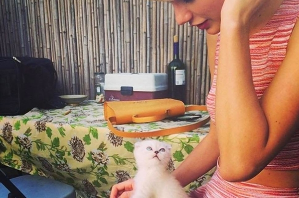 instagram.com