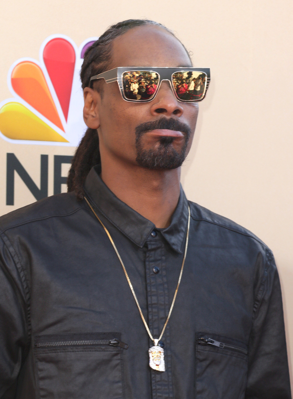 Снуп Догг занялся торговлей марихуаны в интернете