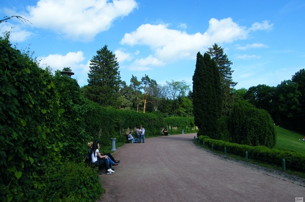 Юлия Татаренко