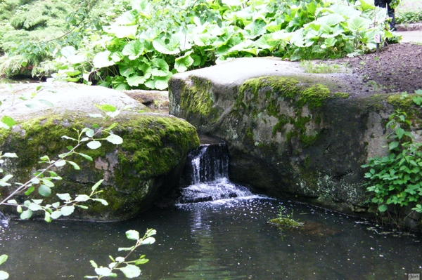 Юлия Татаренко