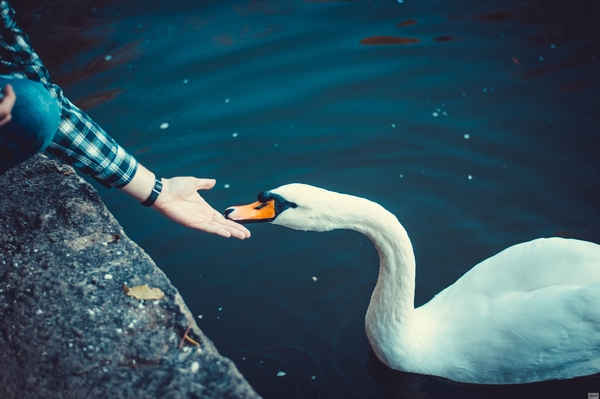 Марина Головнева