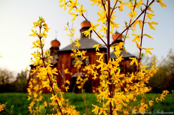 Александра Седунова