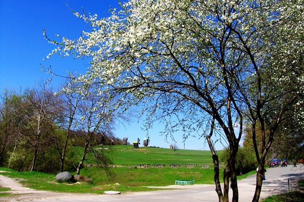 Александра Седунова