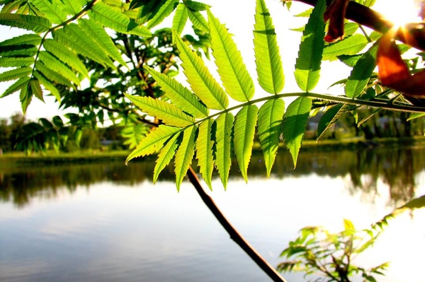 Александра Седунова