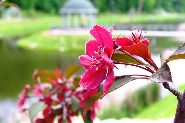 Александра Седунова