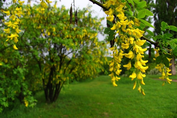 Александра Седунова