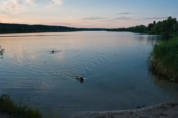 l-z-foto.livejournal.com