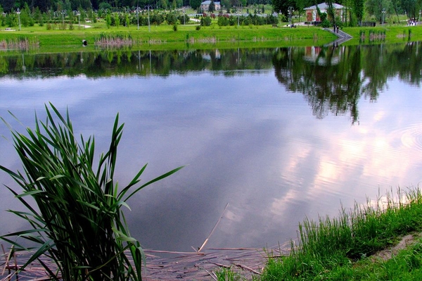 Александра Седунова