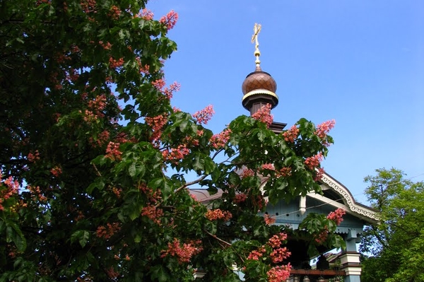 Александра Седунова