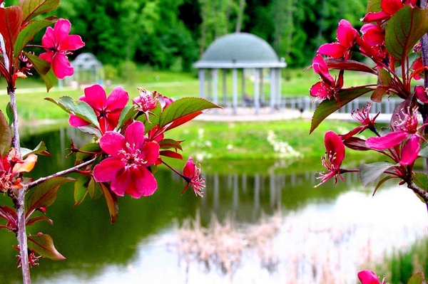 Александра Седунова