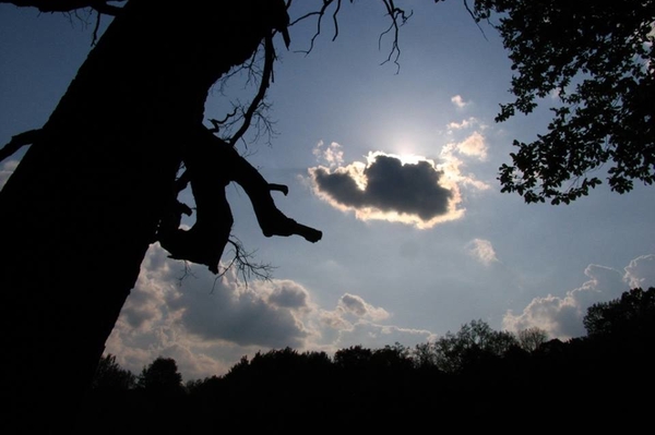 Александра Седунова