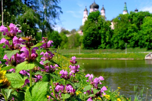 Александра Седунова