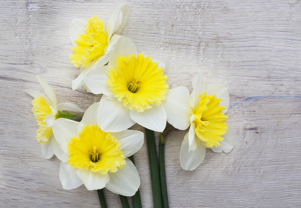 День победы: текст песни