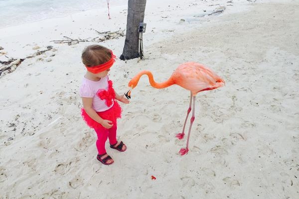 twitter.com/permyakova