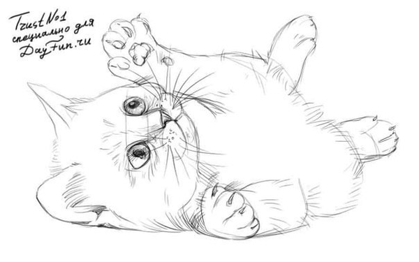 Учимся рисовать с ребенком