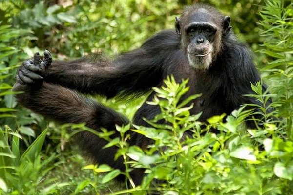 facebook.com/12.org.ua