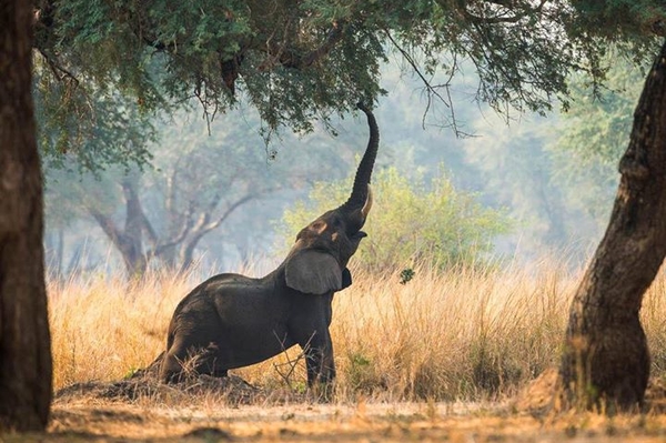 facebook.com/12.org.ua