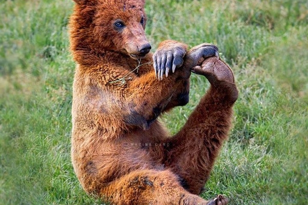 facebook.com/12.org.ua