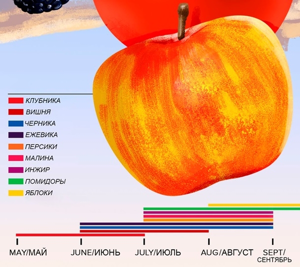 Когда можно есть сезонные фрукты без вреда для здоровья