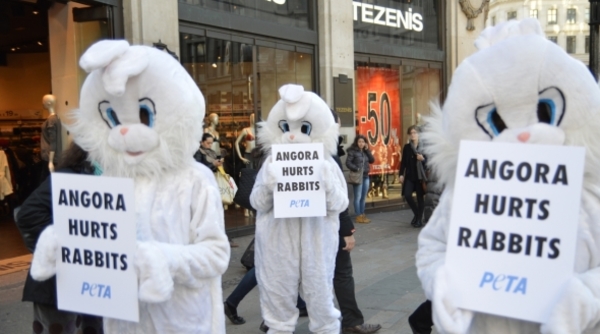 Benetton отказался от ангорской шерсти после протестов