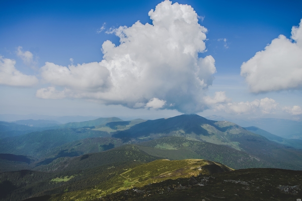 Марина Головнева