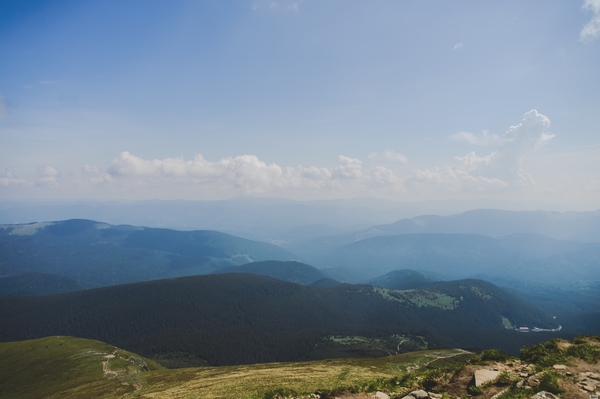 Марина Головнева