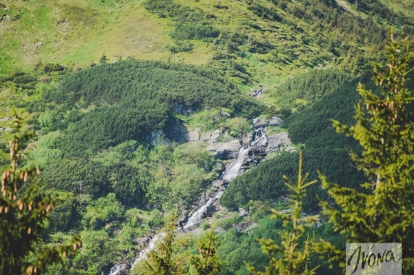 Марина Головнева