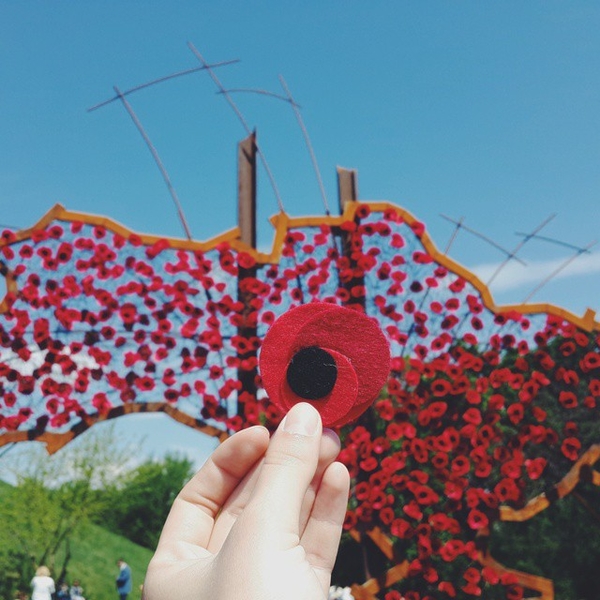 ЗНО 2015: Результаты теста по истории Украины