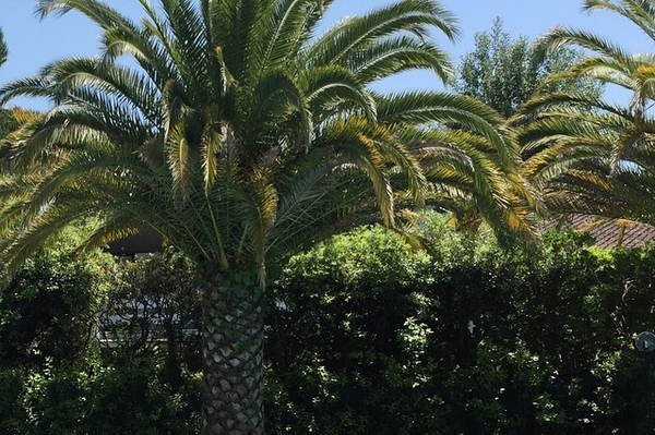 instagram.com/ververa