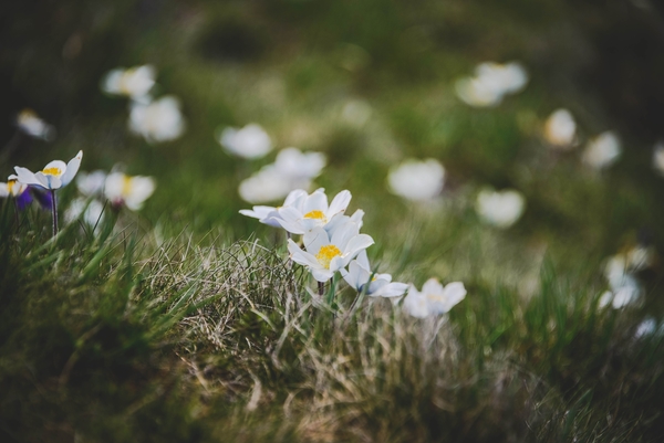 ЗНО 2015: Определены результаты теста по биологии