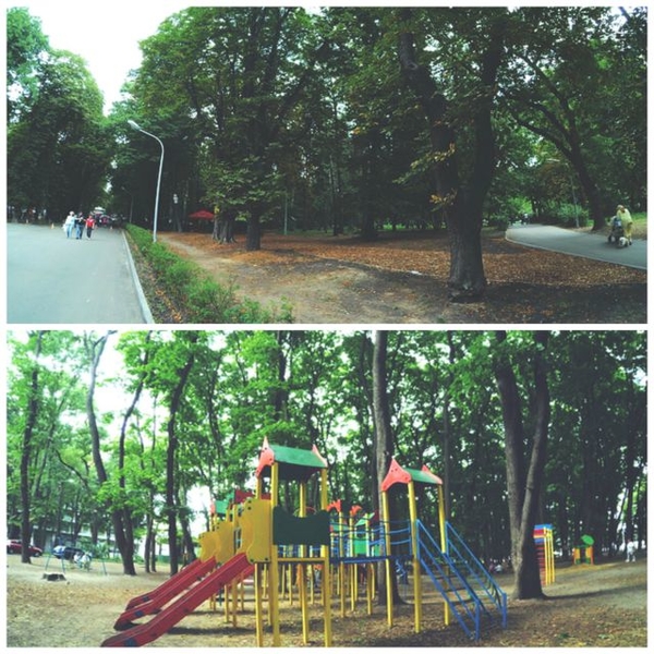 Куда пойти с ребенком на выходных 14-15 марта 2020: Лучшие парки Киева