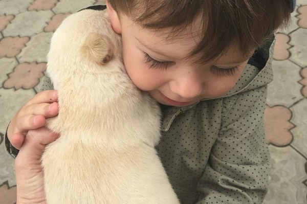 instagram.com/friskefan