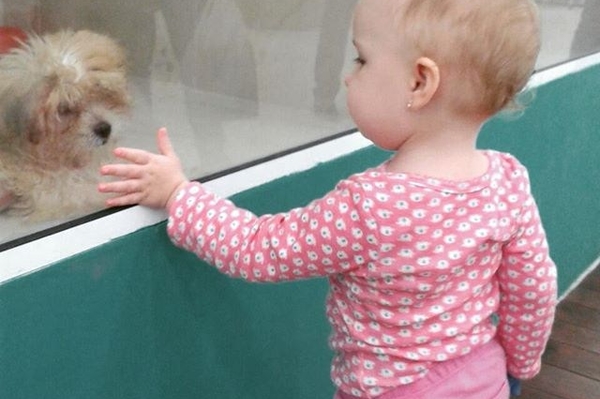 instagram.com/izabelamocaiber