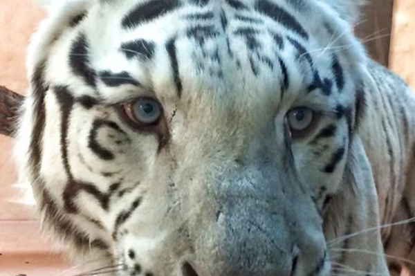 facebook.com/12.org.ua