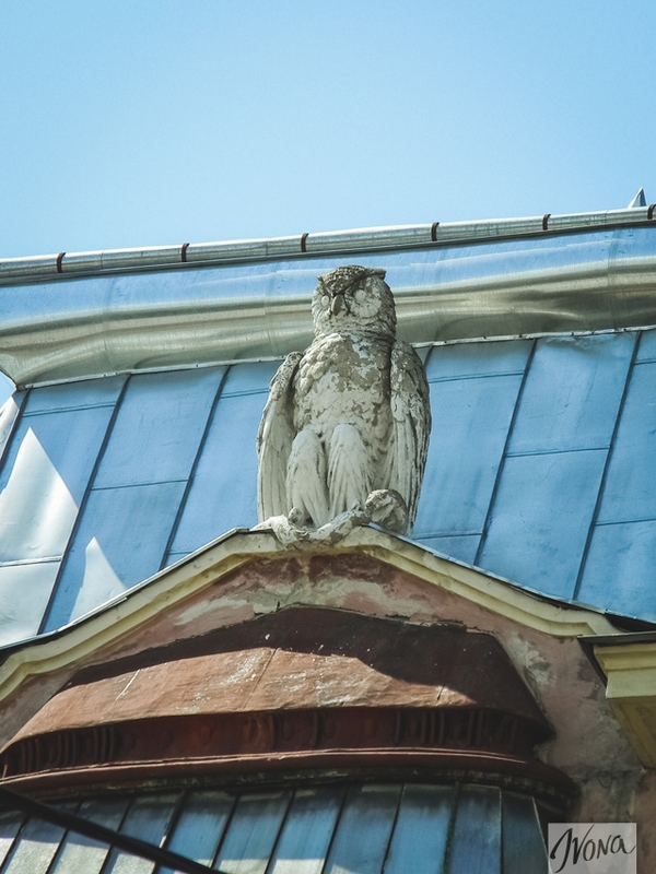 Путешествуй по Украине: вдохновляющая архитектура Черновцов